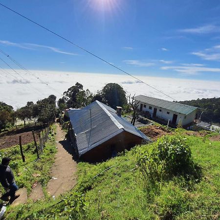 Dostel: Backpacker Hostel Kodaikanal Zewnętrze zdjęcie