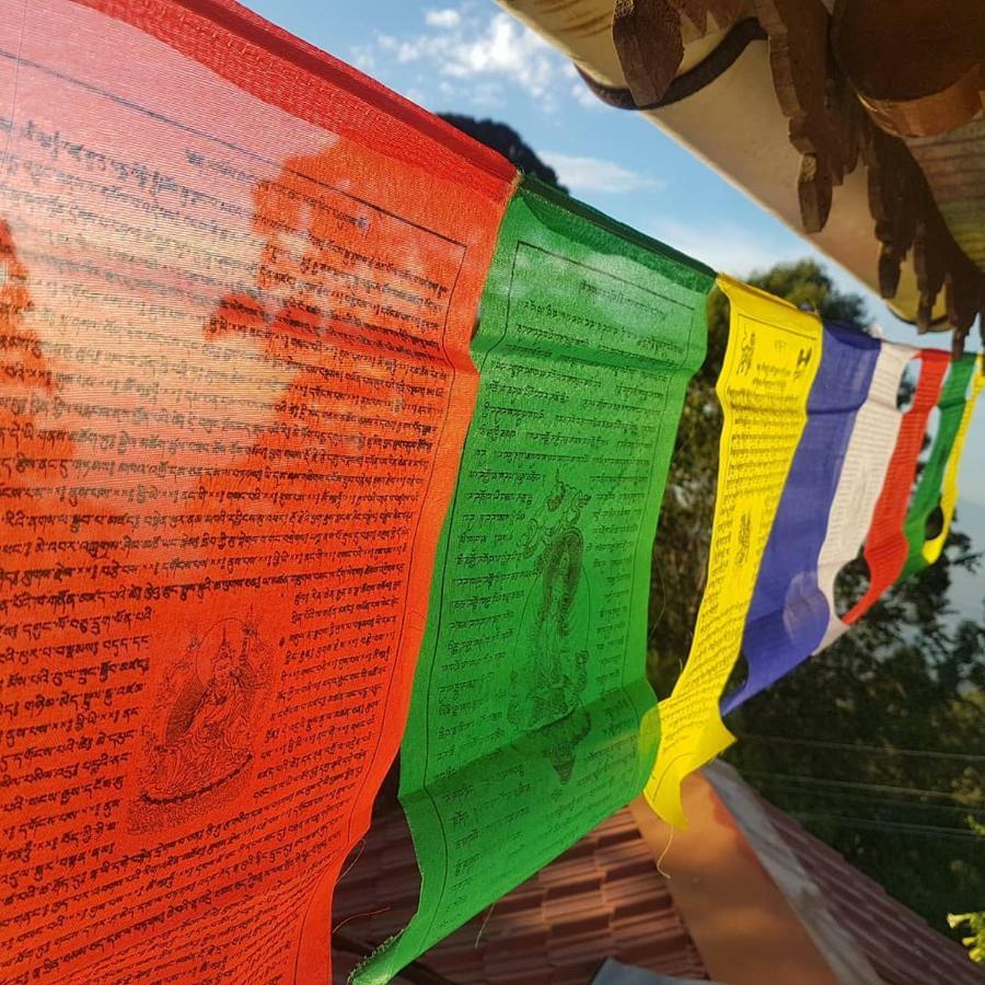 Dostel: Backpacker Hostel Kodaikanal Zewnętrze zdjęcie